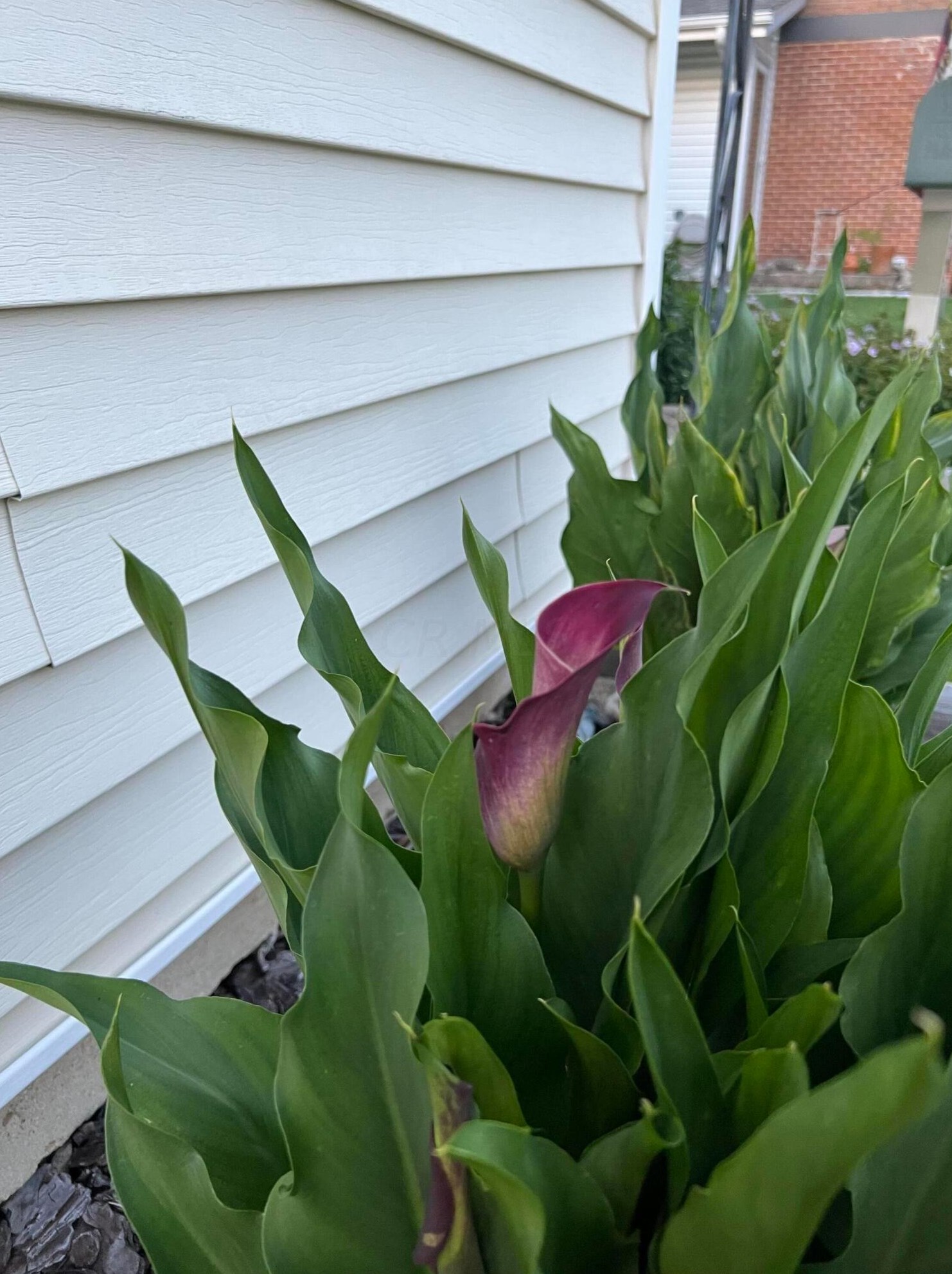 4066 Etna St, Columbus OH 43213-2382 exterior