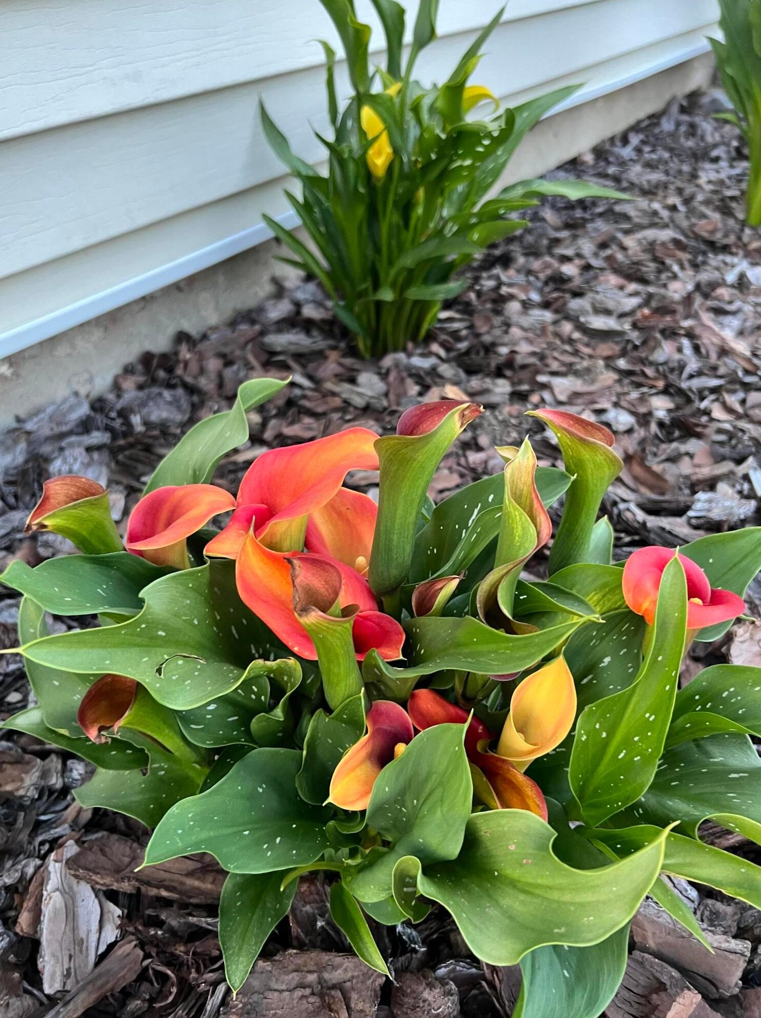 4066 Etna St, Columbus OH 43213-2382 exterior