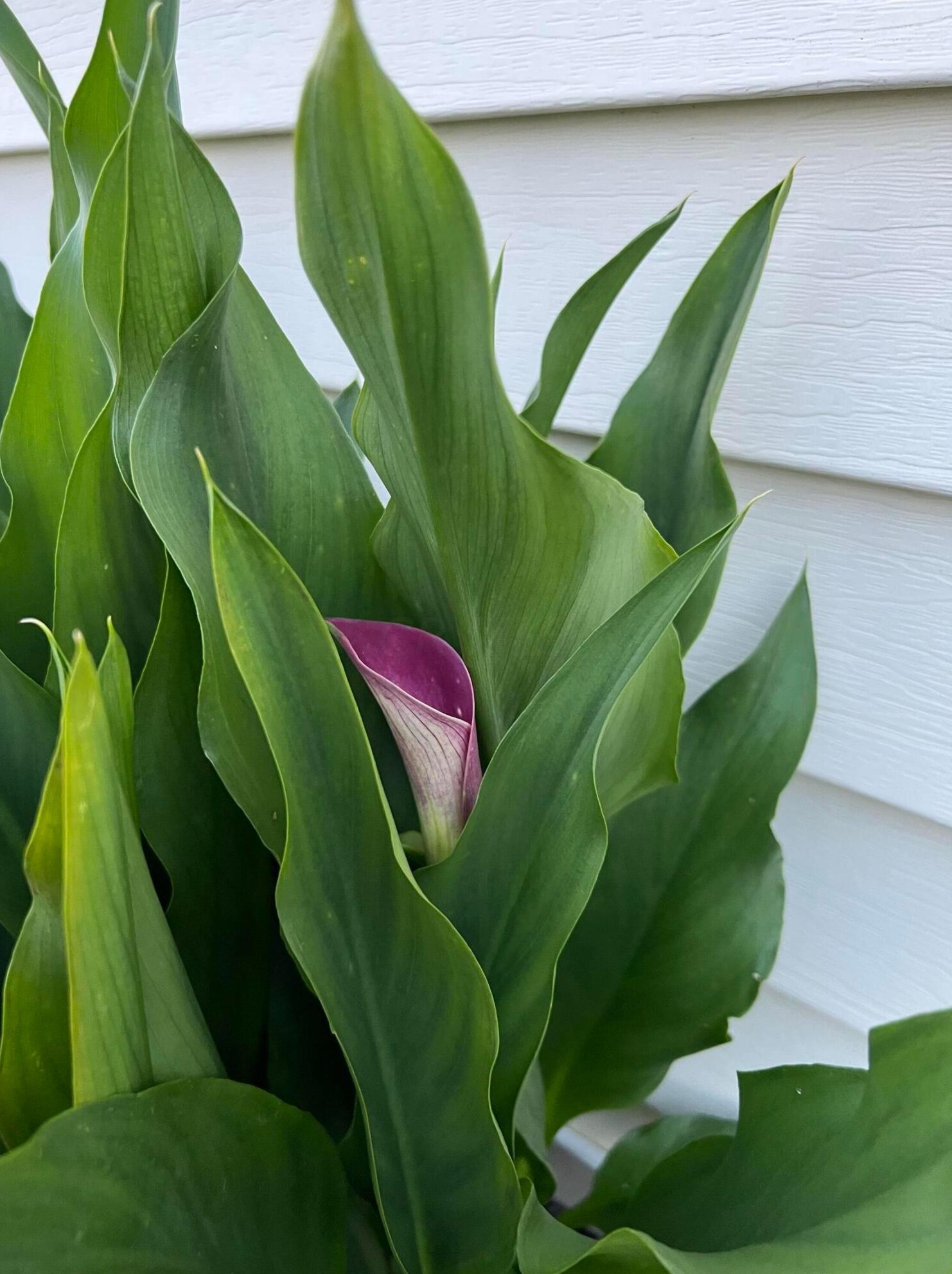 4066 Etna St, Columbus OH 43213-2382 exterior