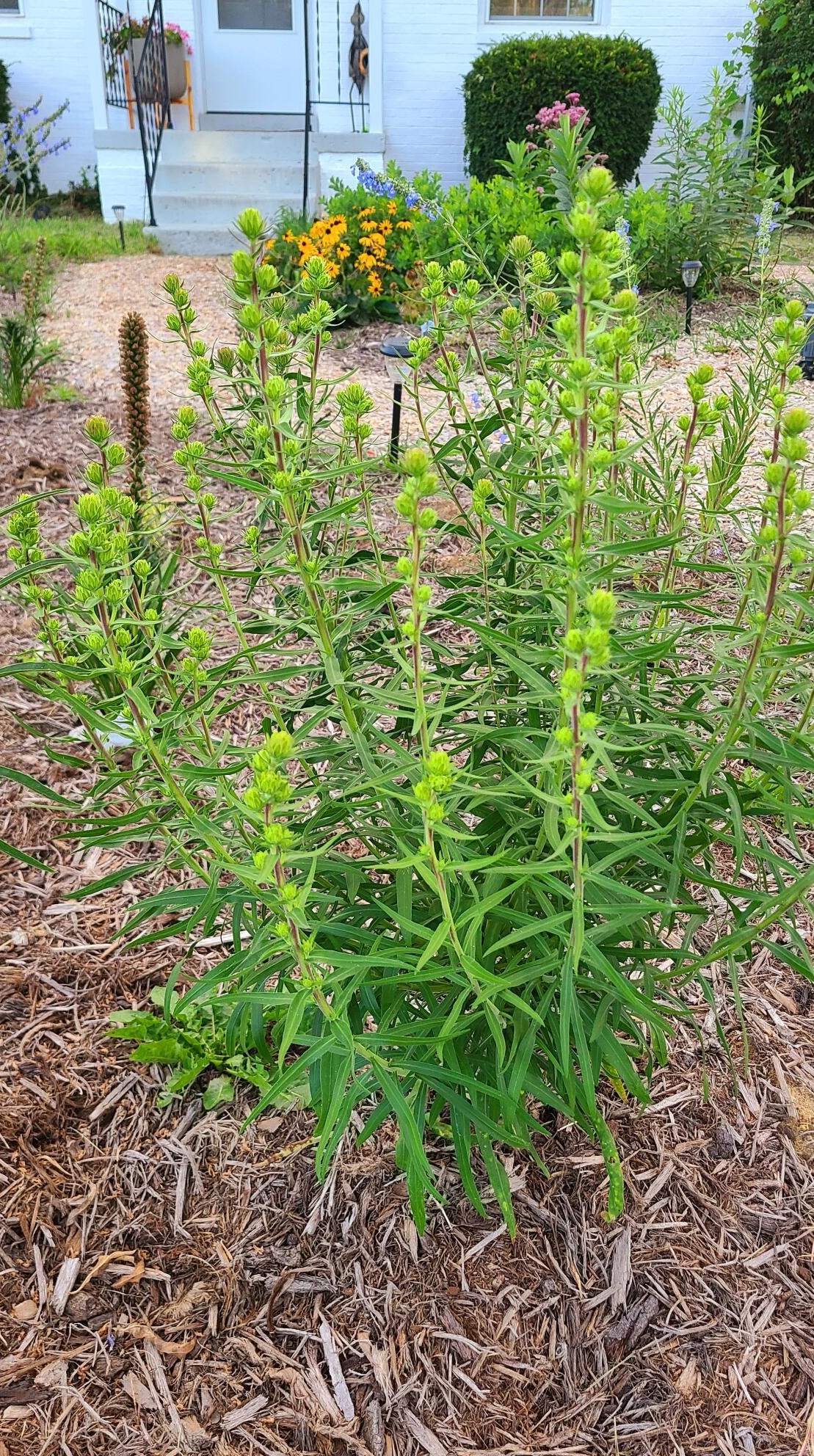 143 Mayfair Blvd, Columbus OH  43213-1610 exterior