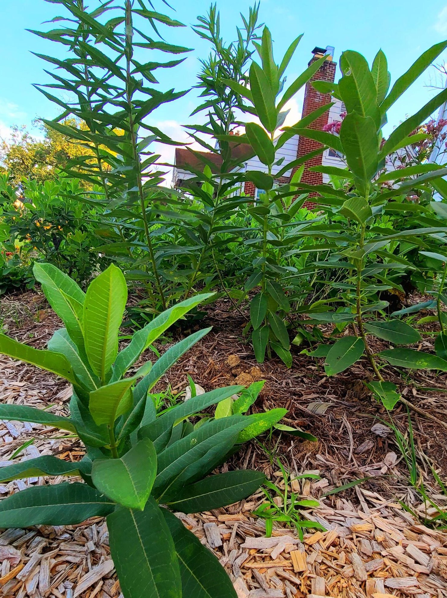 143 Mayfair Blvd, Columbus OH  43213-1610 exterior