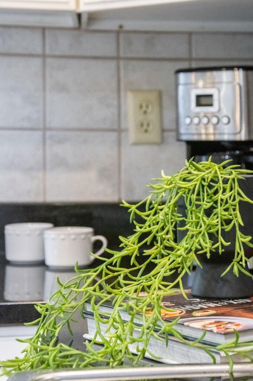 548 Kingfisher Dr, Westerville OH  43082-1064 exterior