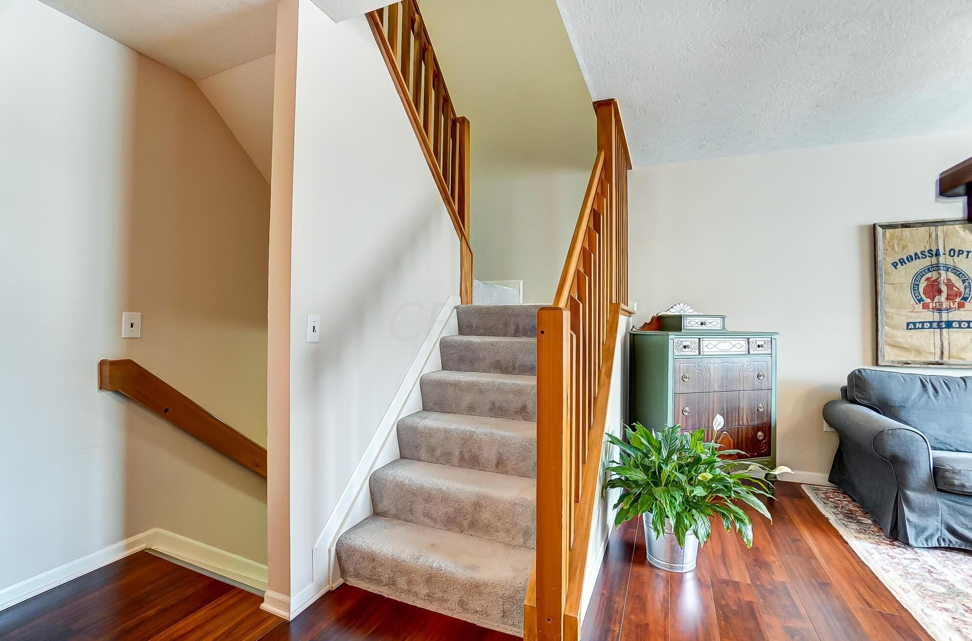 294 Shadbush Dr, Blacklick OH  43004-8440 exterior