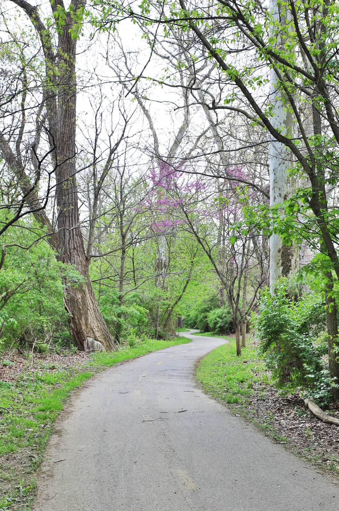 5504 Westerville Crossing Dr, Westerville OH  43081-9630 exterior