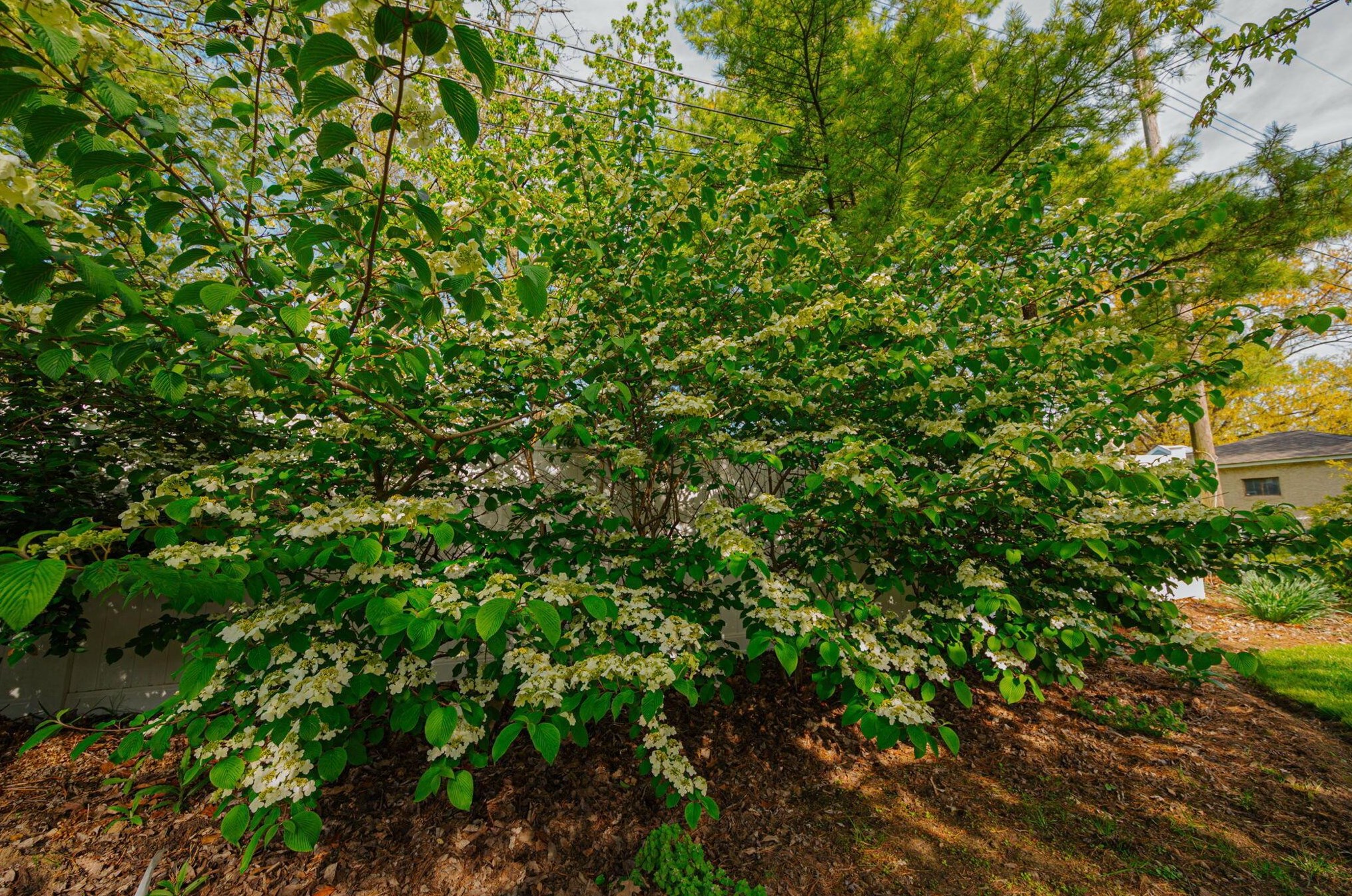 3259 Kenyon Rd, Columbus OH  43221-1809 exterior