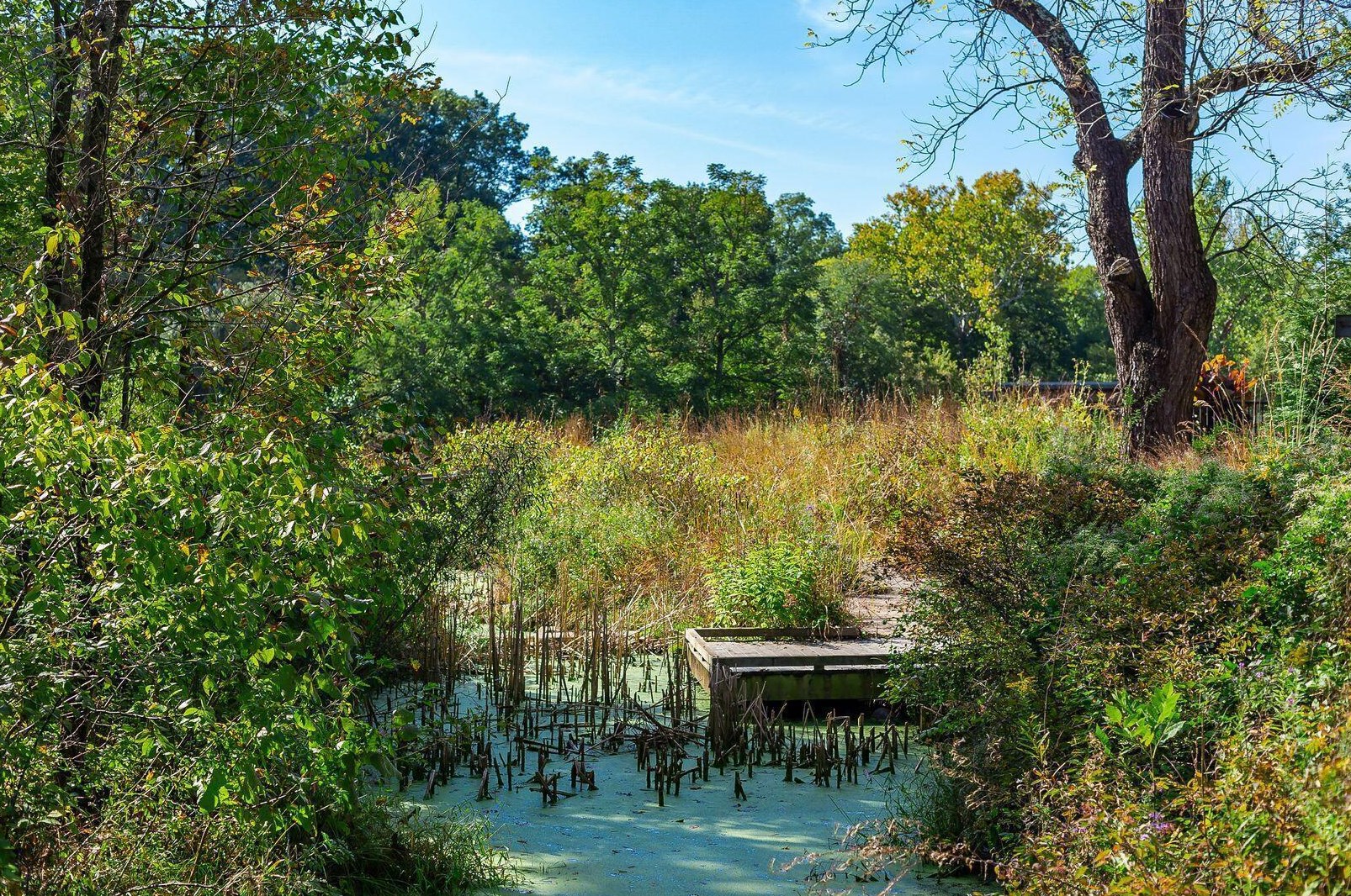 438 Mainsail Dr, Westerville OH  43081-2745 exterior