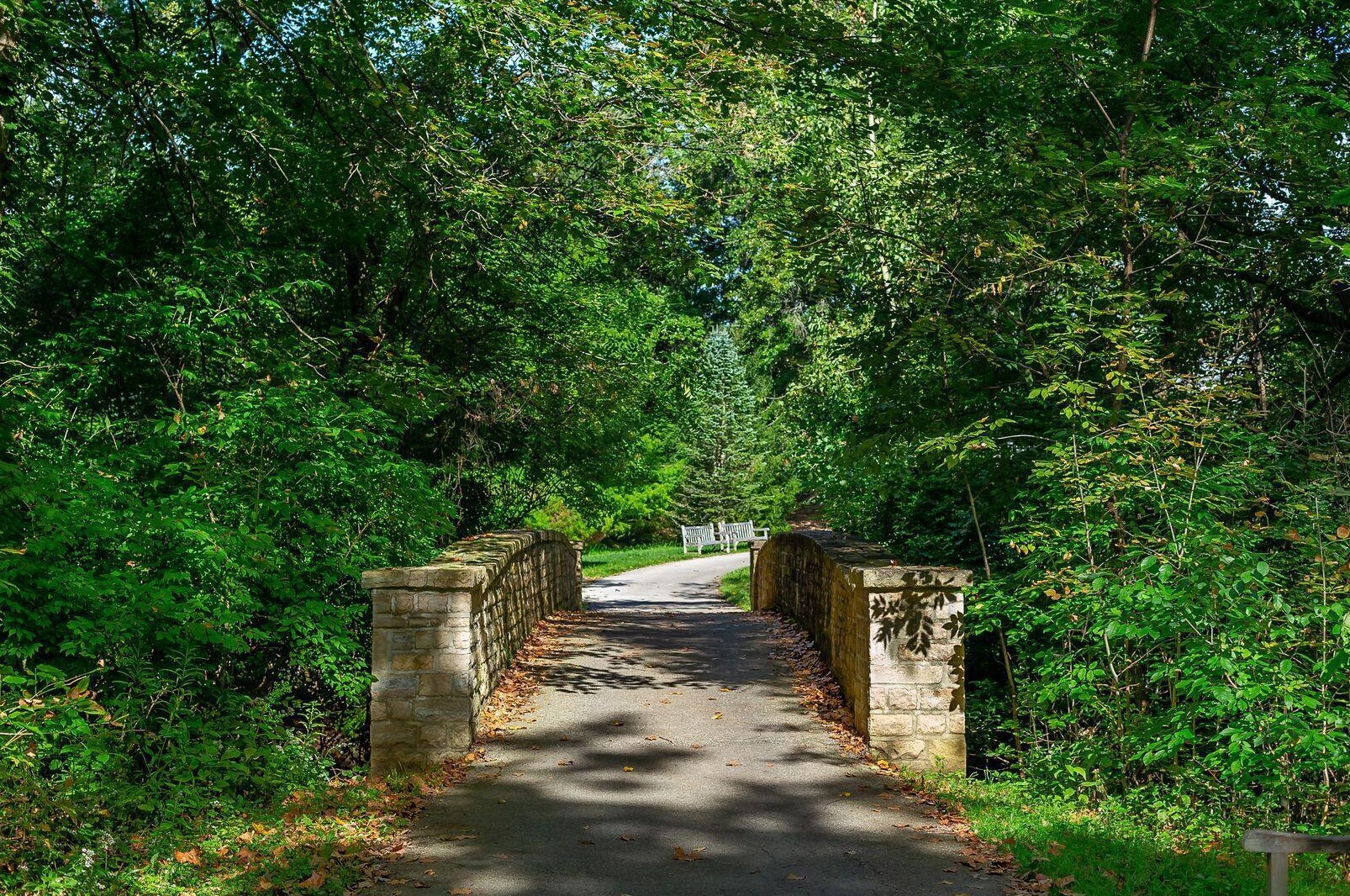 438 Mainsail Dr, Westerville OH  43081-2745 exterior