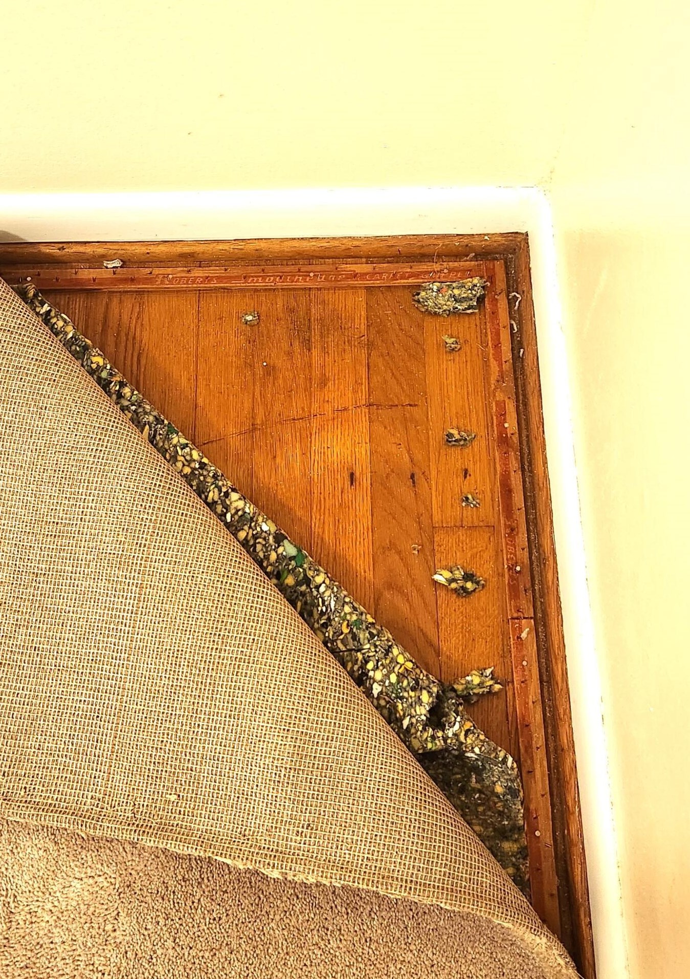 392 Mayflower Blvd, Columbus OH 43213-2366 exterior