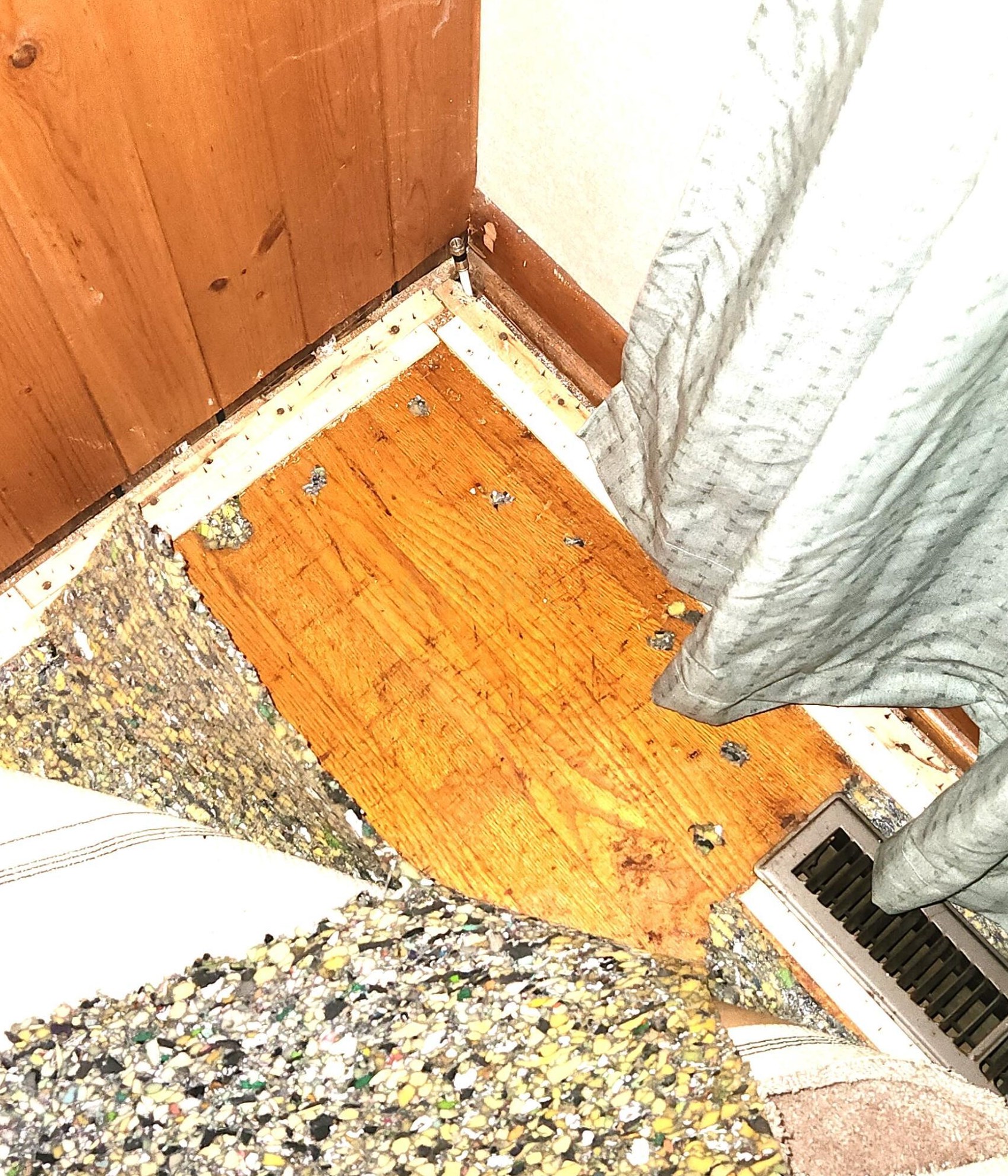 392 Mayflower Blvd, Columbus OH 43213-2366 exterior