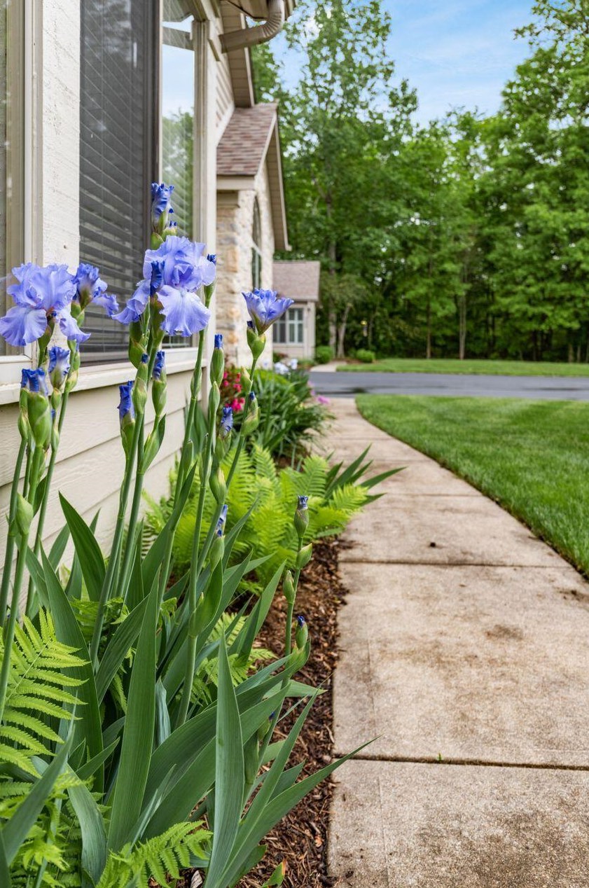 5551 Meadowood Ln, Westerville OH  43082-9463 exterior