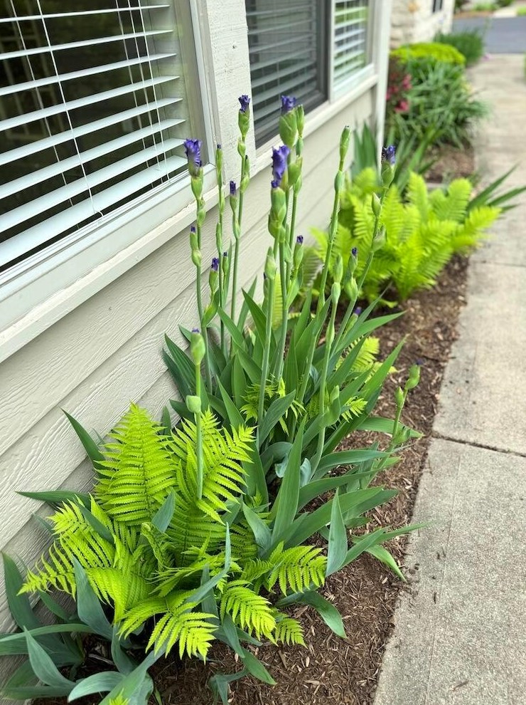 5551 Meadowood Ln, Westerville OH  43082-9463 exterior