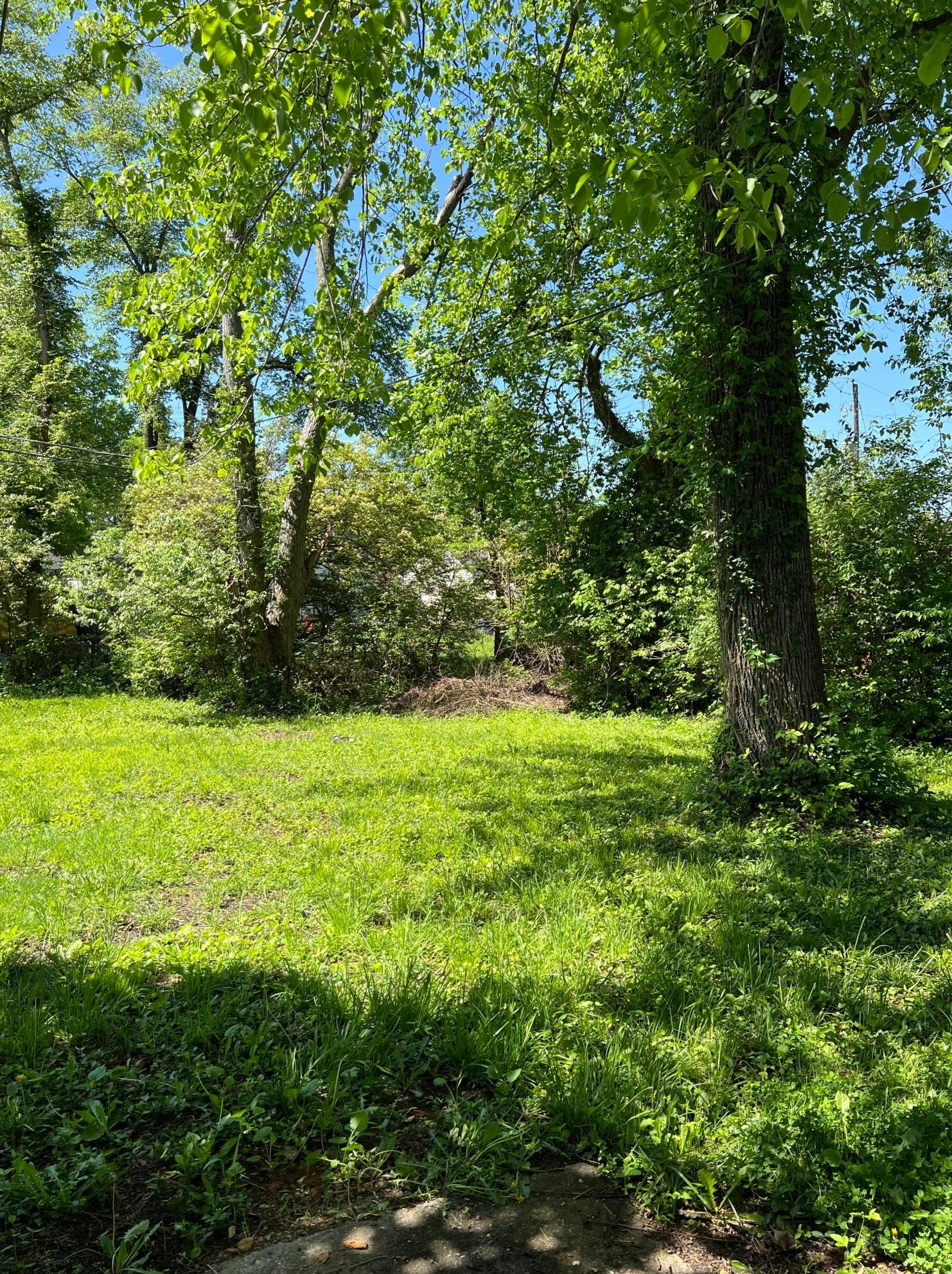 2493 Meredith Dr, Columbus OH 43219-1461 exterior