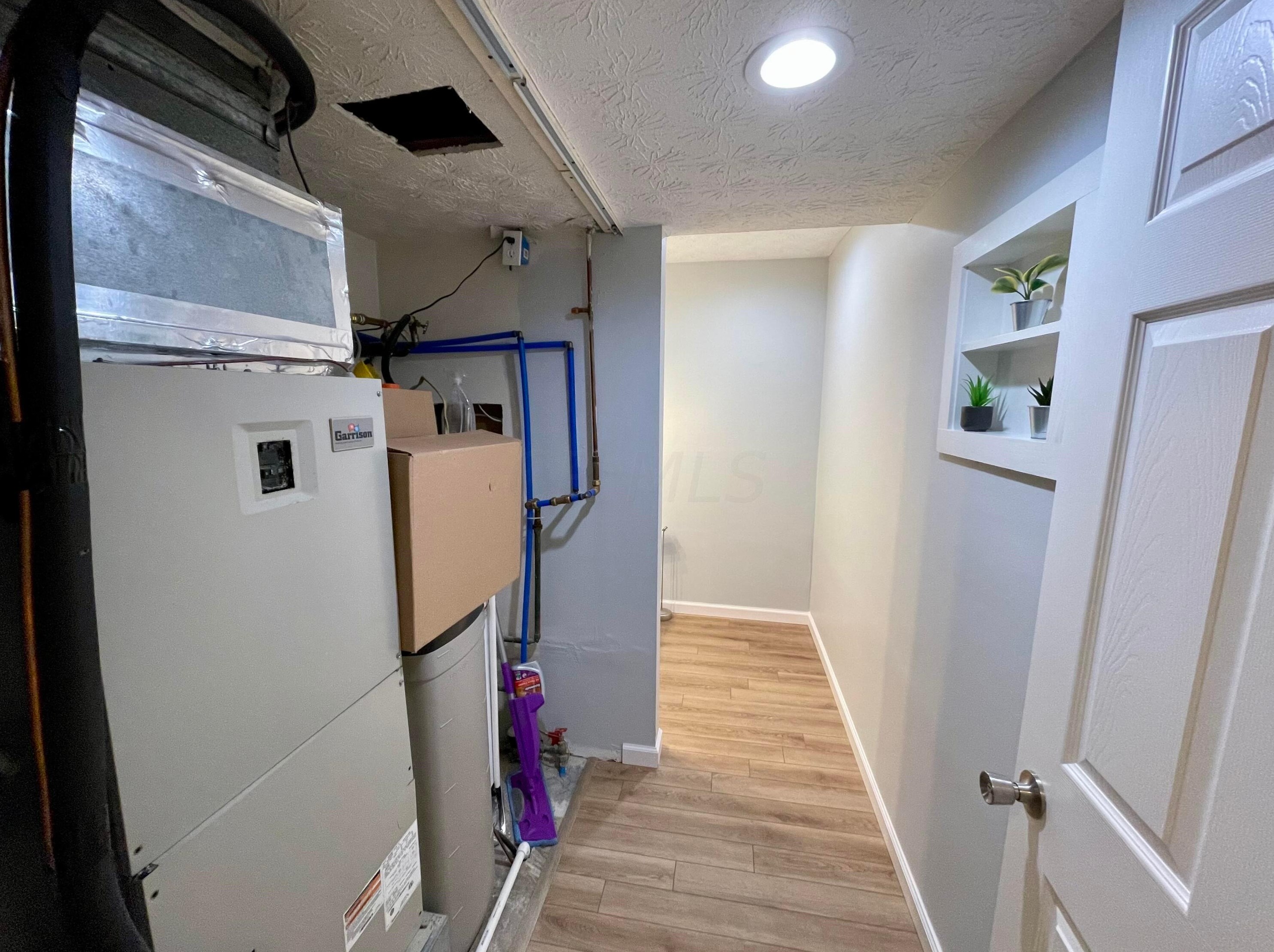 6287 Rosebay Ct, Westerville OH  43081-3719 exterior