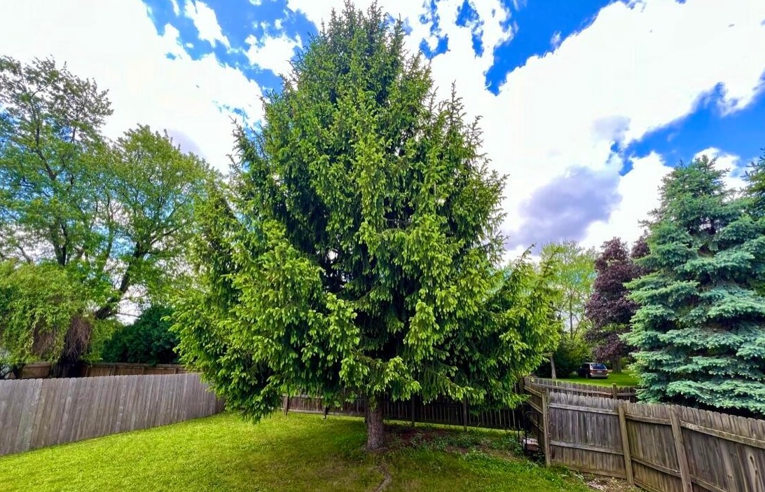 1567 Trabue Wood Blvd, Columbus OH  43228-9125 exterior