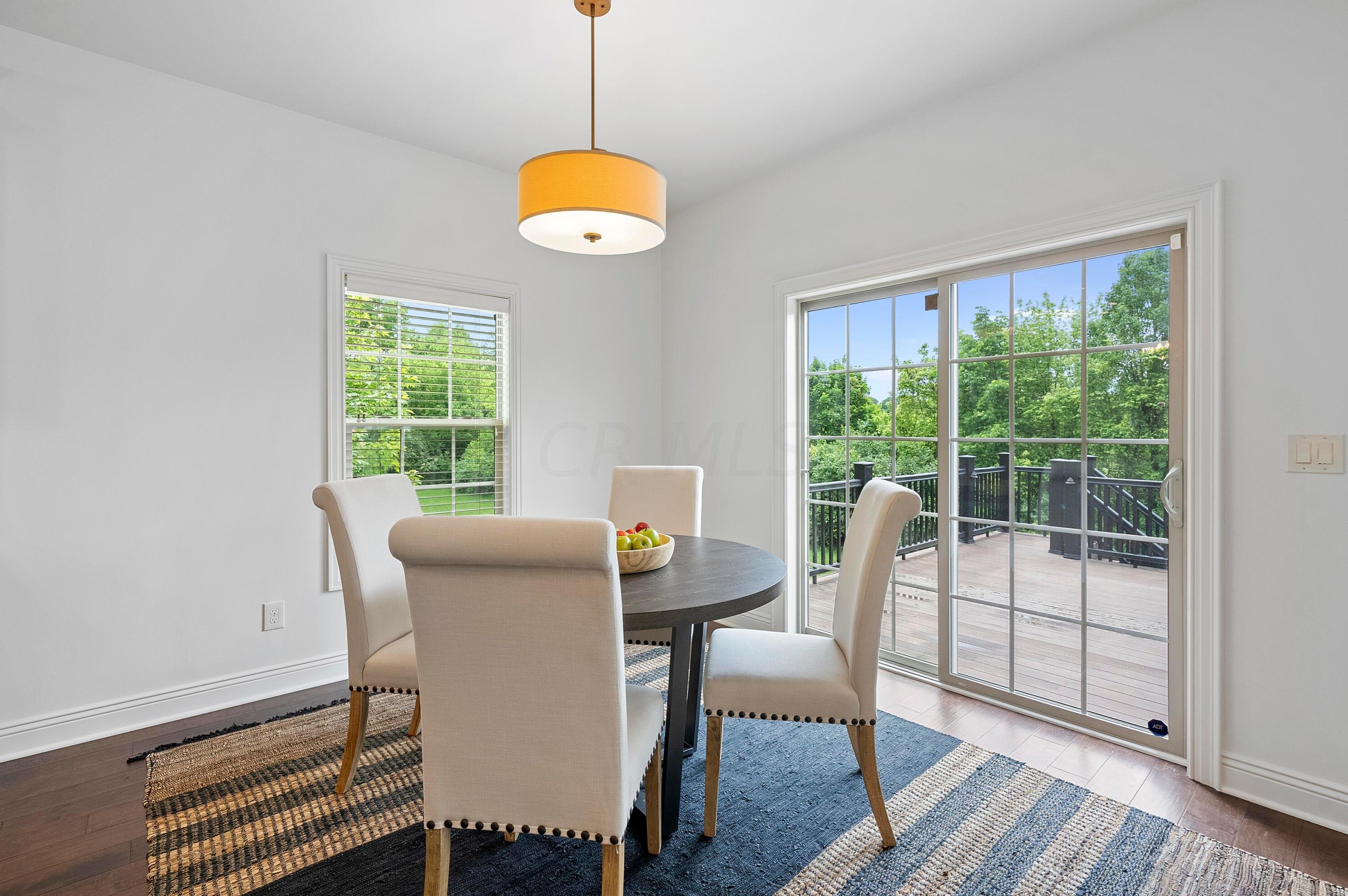 8127 Conine Dr, Dublin OH  exterior