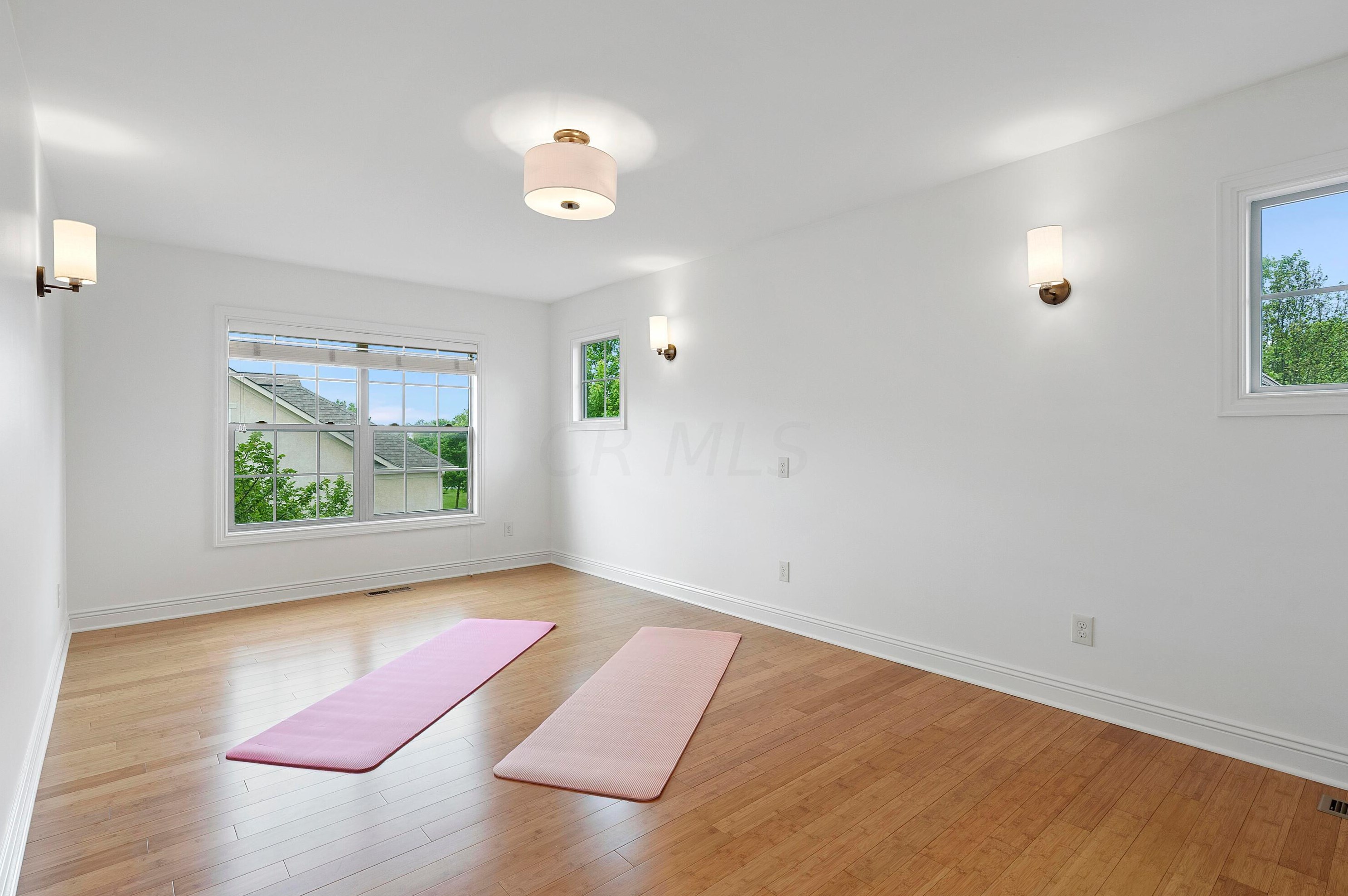 8127 Conine Dr, Dublin OH  exterior