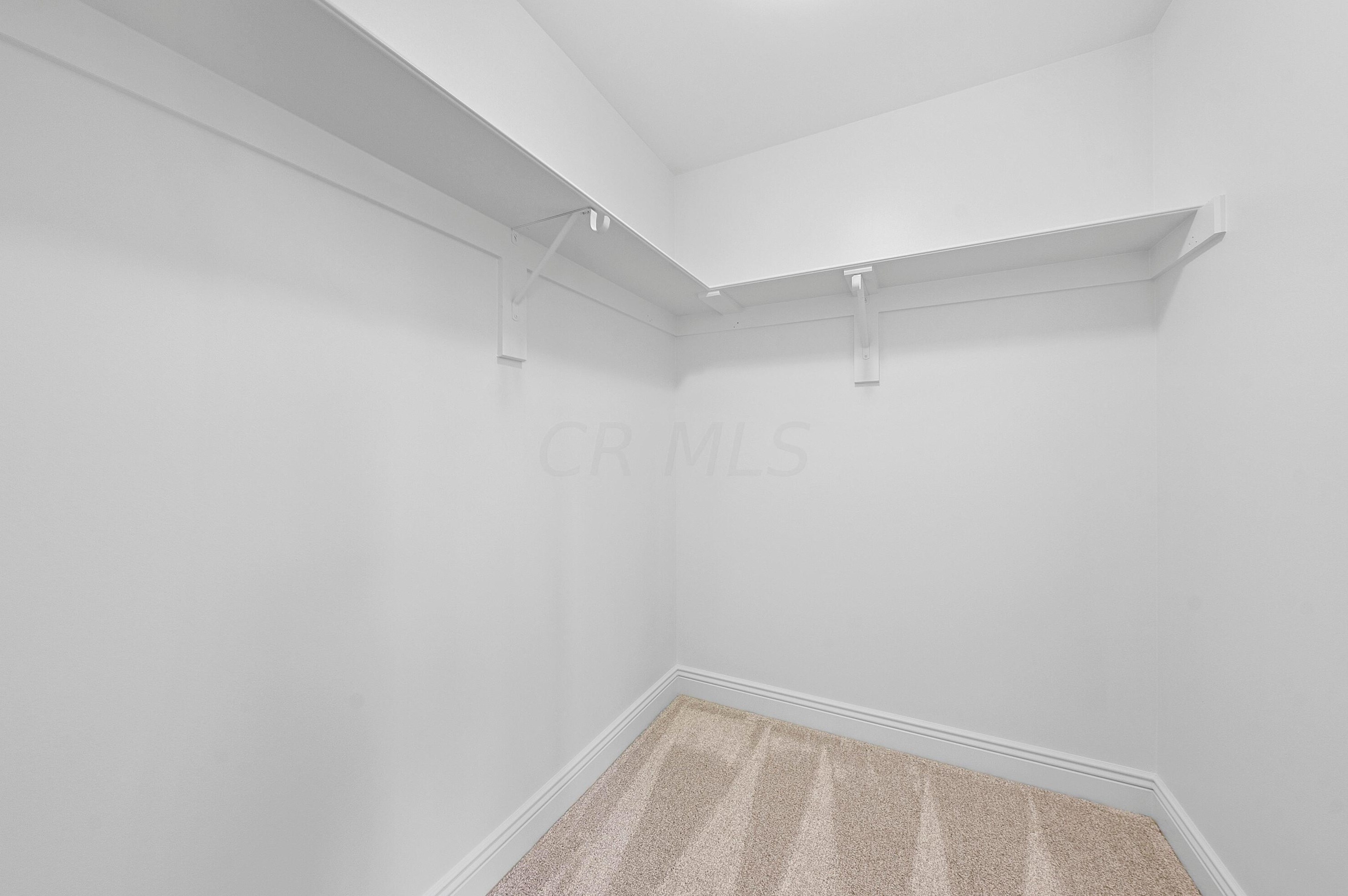 8127 Conine Dr, Dublin OH  exterior