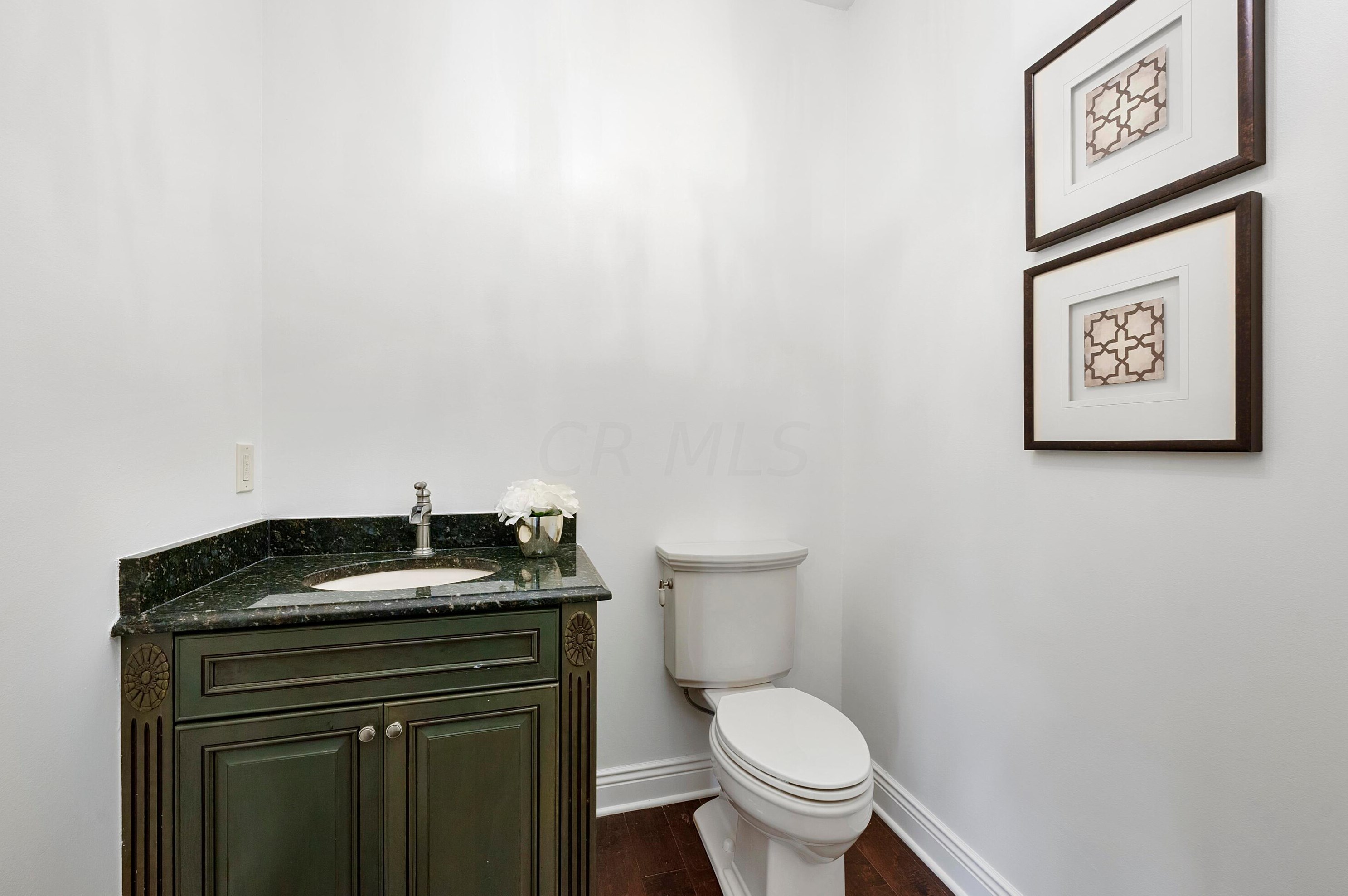 8127 Conine Dr, Dublin OH  exterior