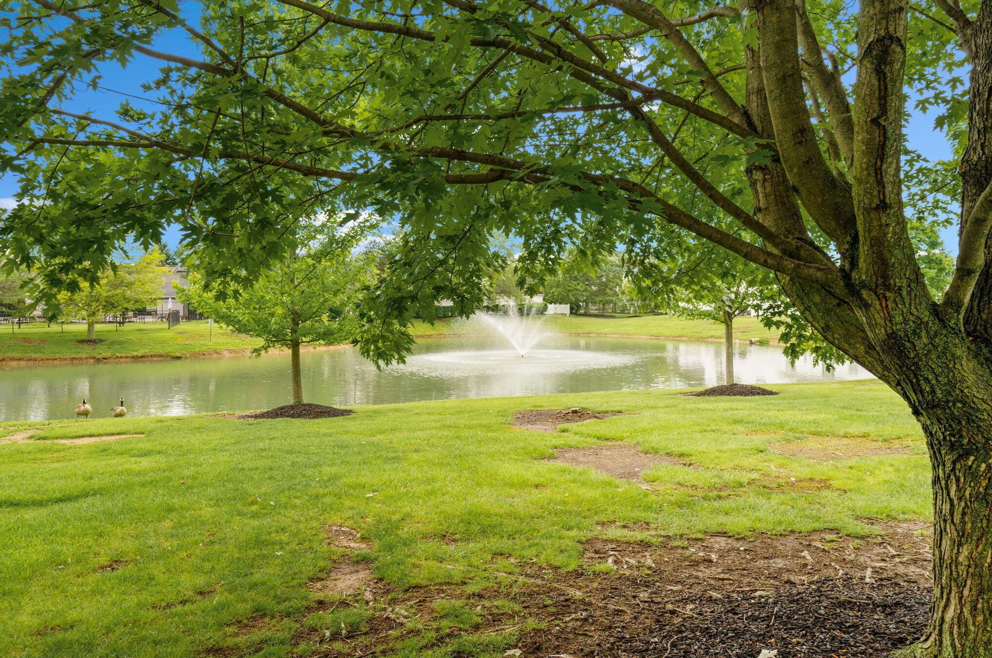 1993 Hoadley Dr, Columbus OH  43228-6489 exterior