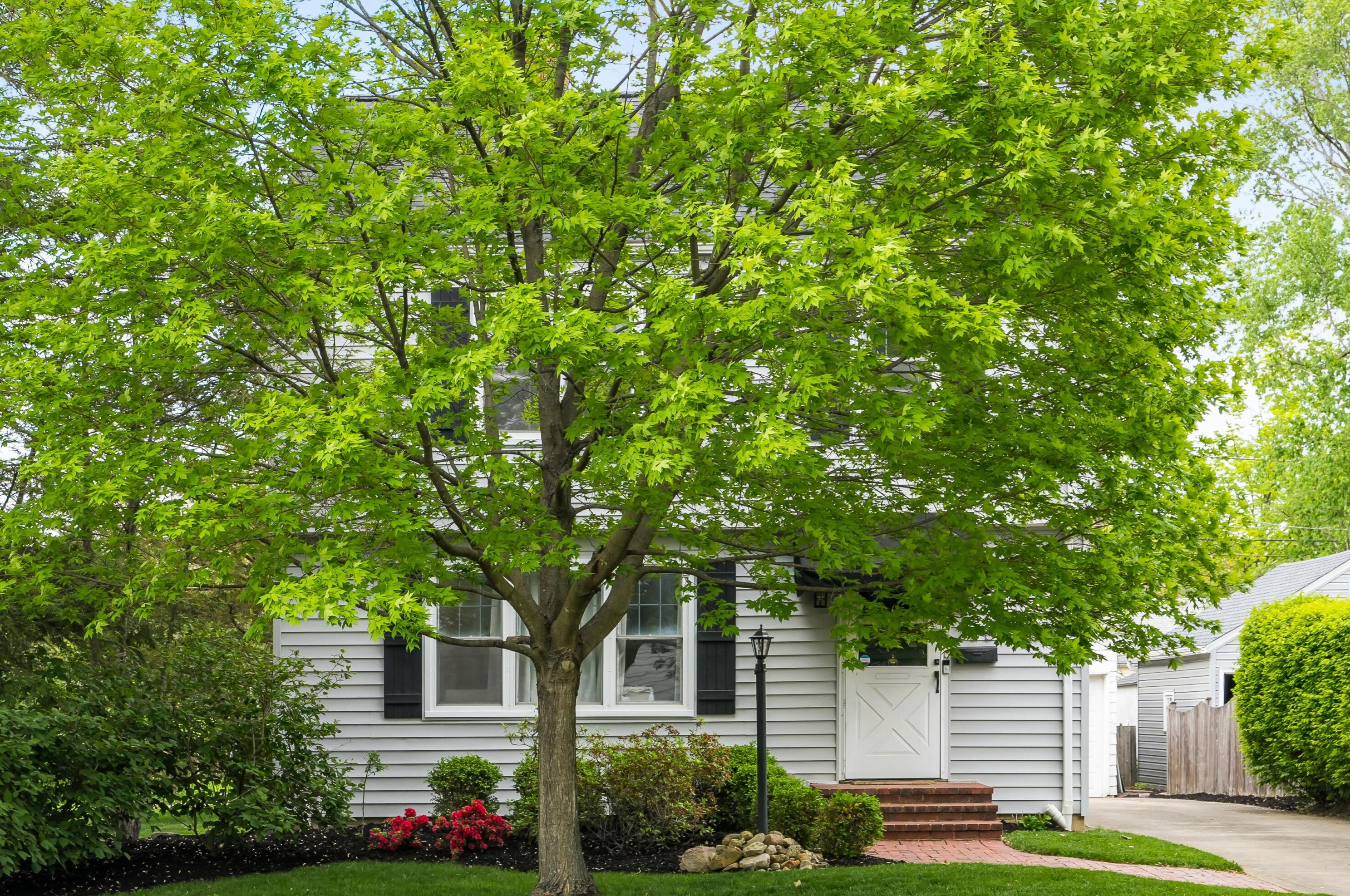 256 Schreyer Pl, Columbus OH  43214-2727 exterior