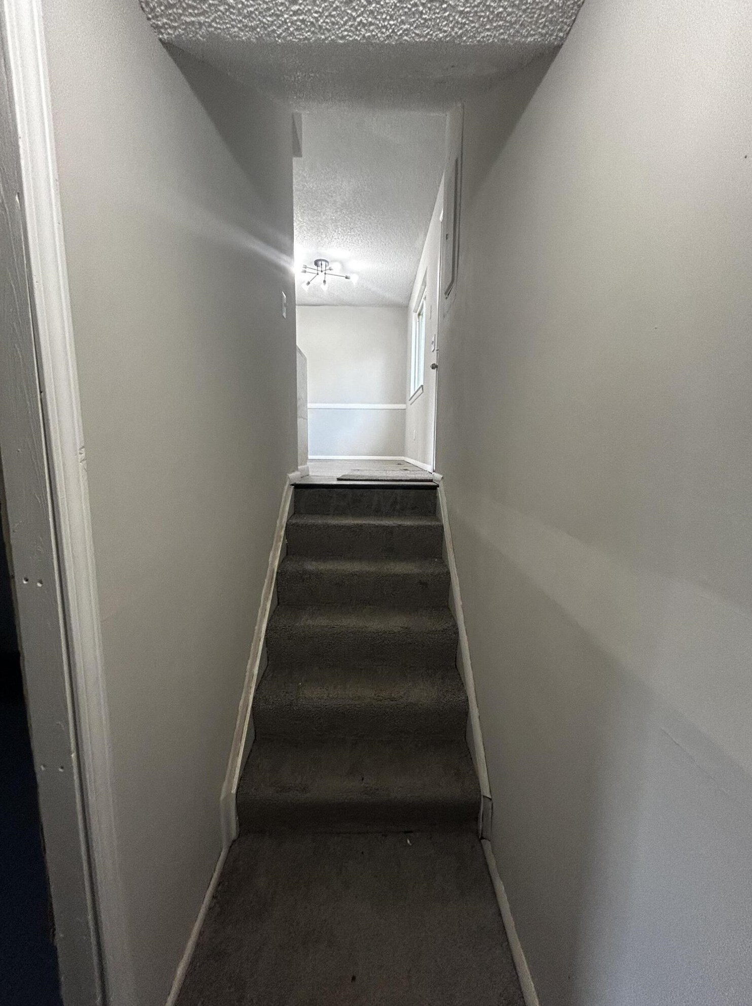 2902 Falcon Brg Dr, Columbus OH 43232-5436 exterior