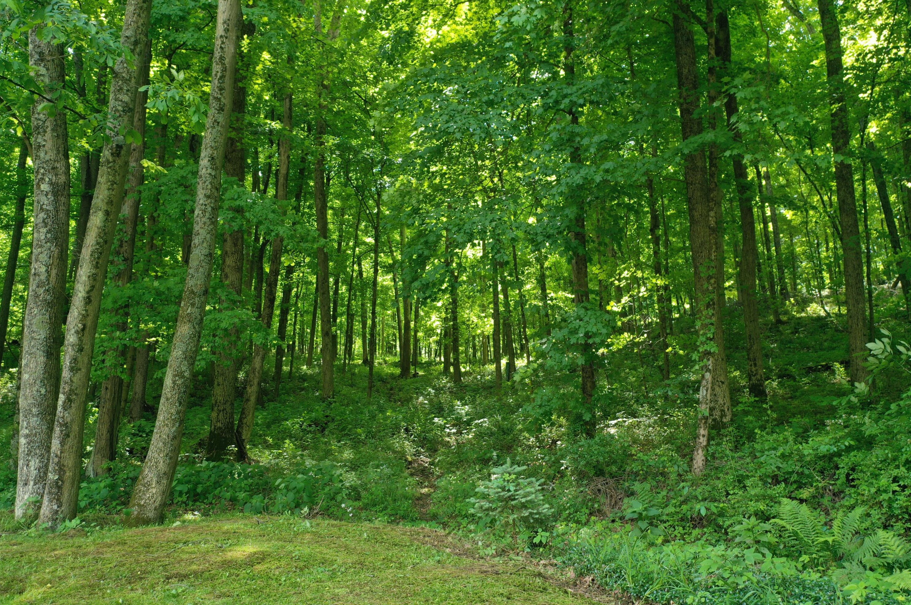 5867 Stoffer Rd, North Woodbury OH  44813-9361 exterior