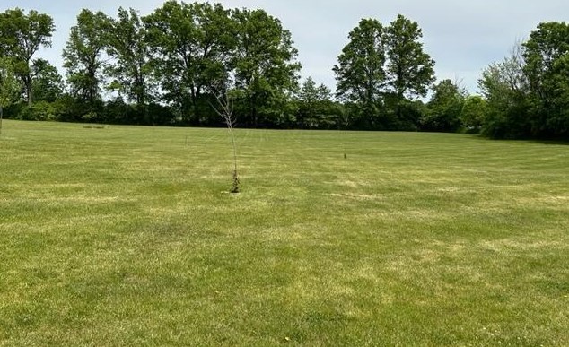 16590 Paver Barnes Rd, Marysville OH  43040-8560 exterior