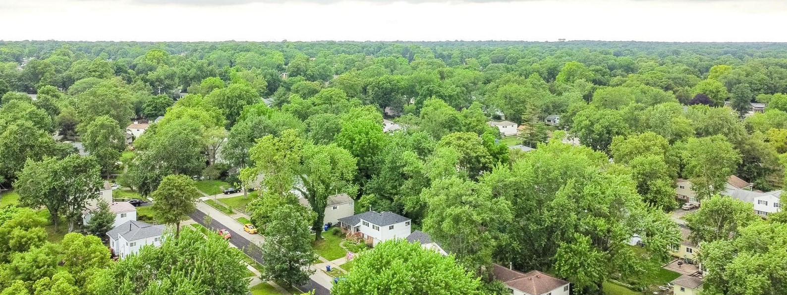 3041 Rightmire Blvd, Columbus OH 43221-1662 exterior