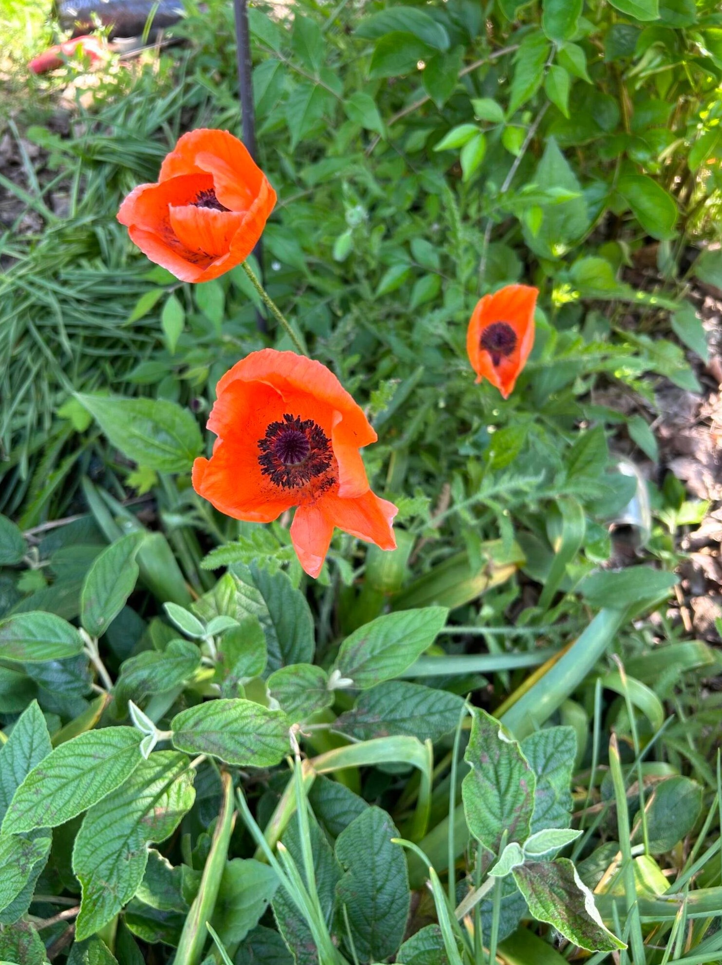 214 Dublin Granville Rd, Columbus OH 43085-3185 exterior