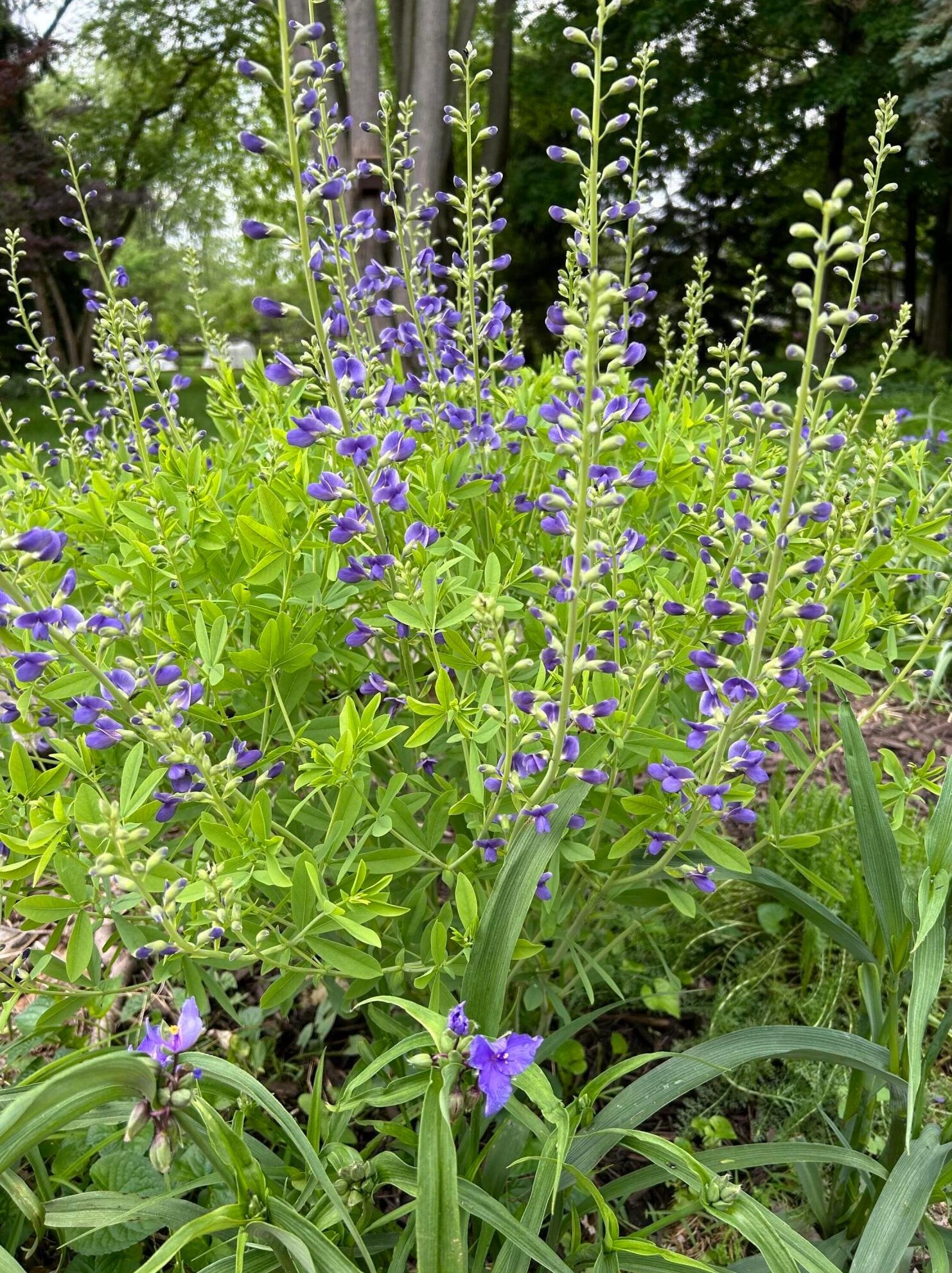 214 Dublin Granville Rd, Columbus OH 43085-3185 exterior