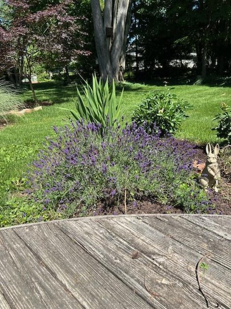 214 Dublin Granville Rd, Columbus OH 43085-3185 exterior