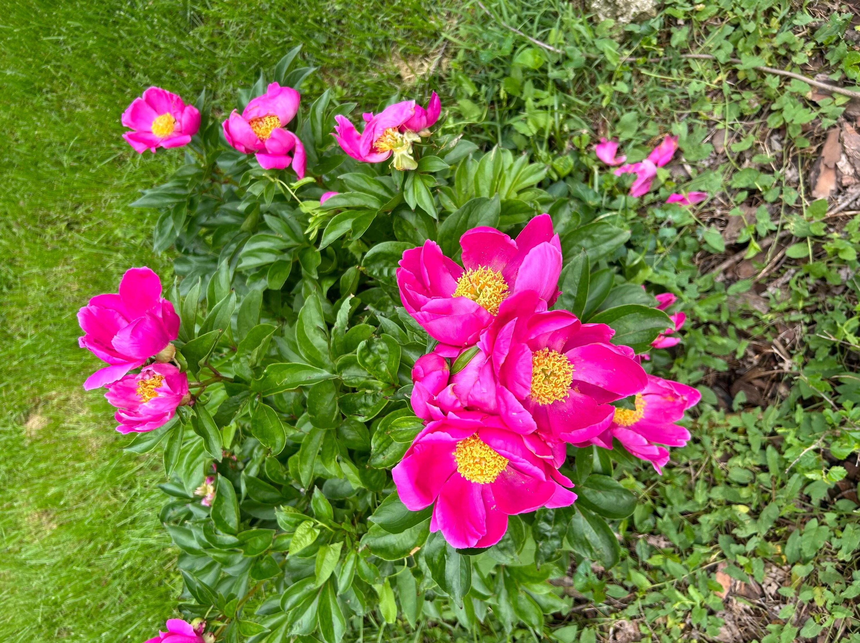 214 Dublin Granville Rd, Columbus OH 43085-3185 exterior