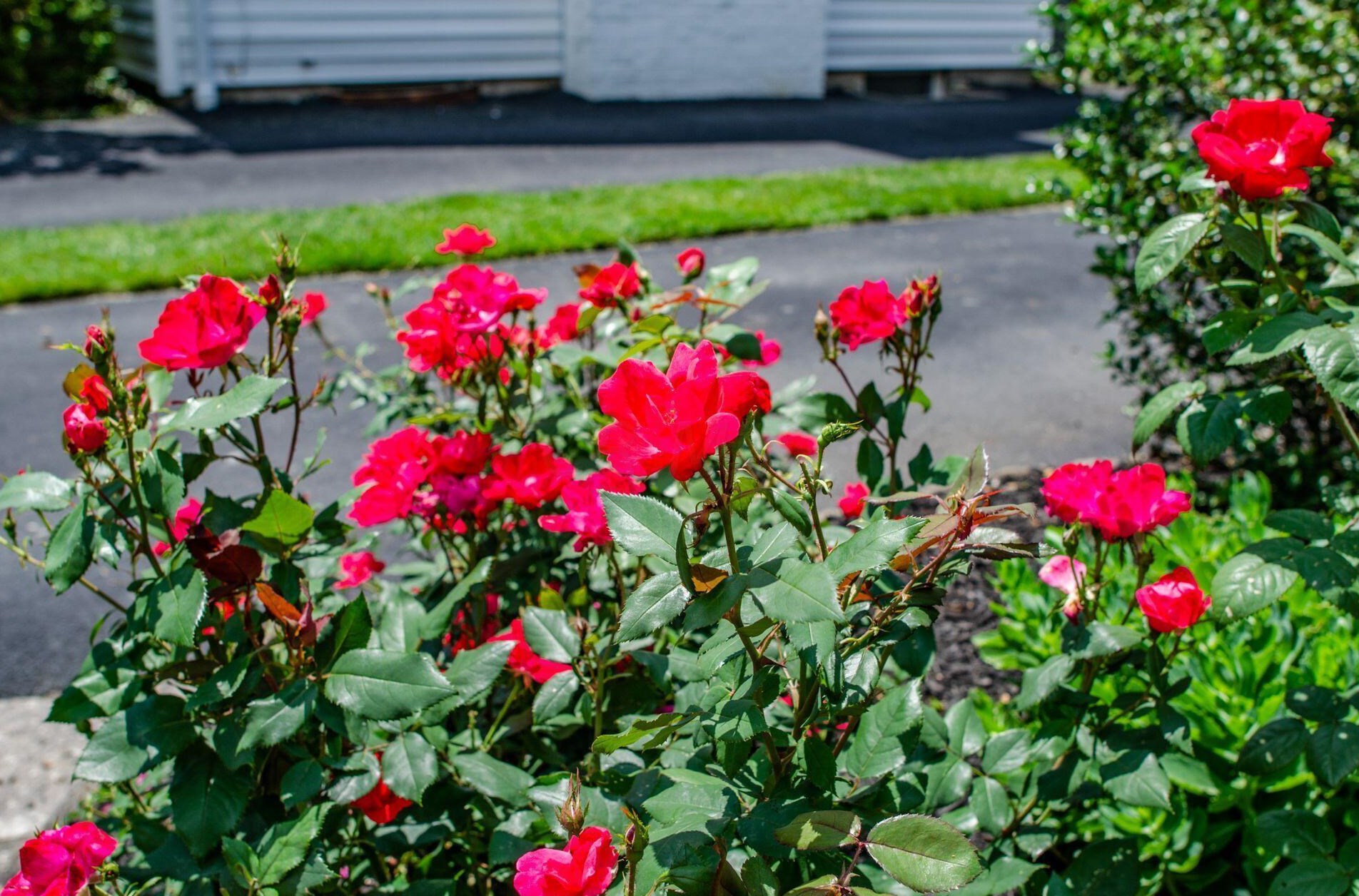 1685 Andover Rd, Columbus OH 43212-2301 exterior