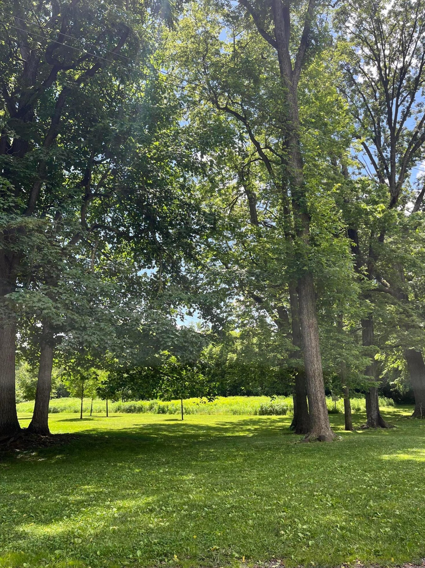 93 Torrence Rd, Columbus OH 43214-3821 exterior