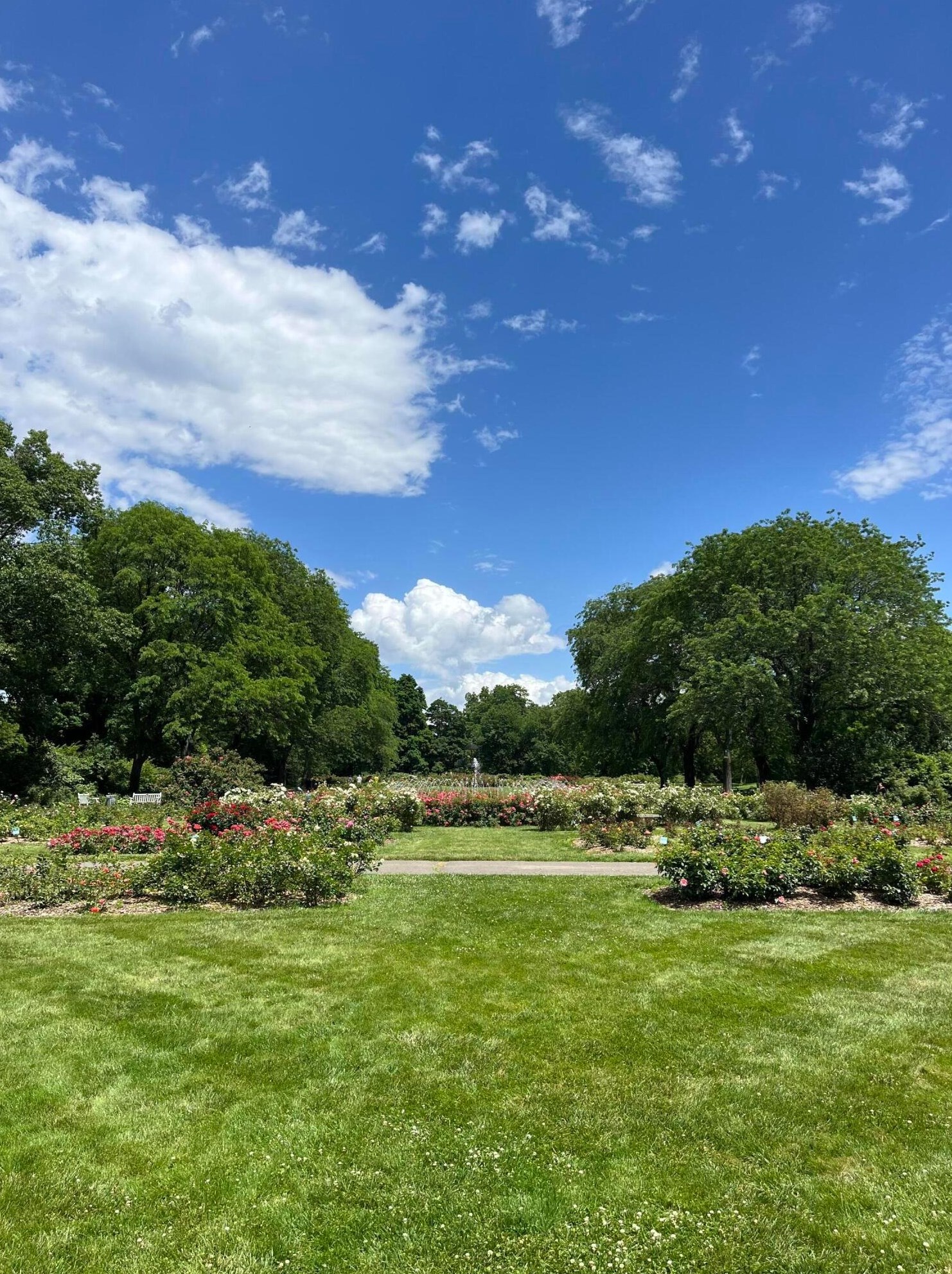 93 Torrence Rd, Columbus OH 43214-3821 exterior