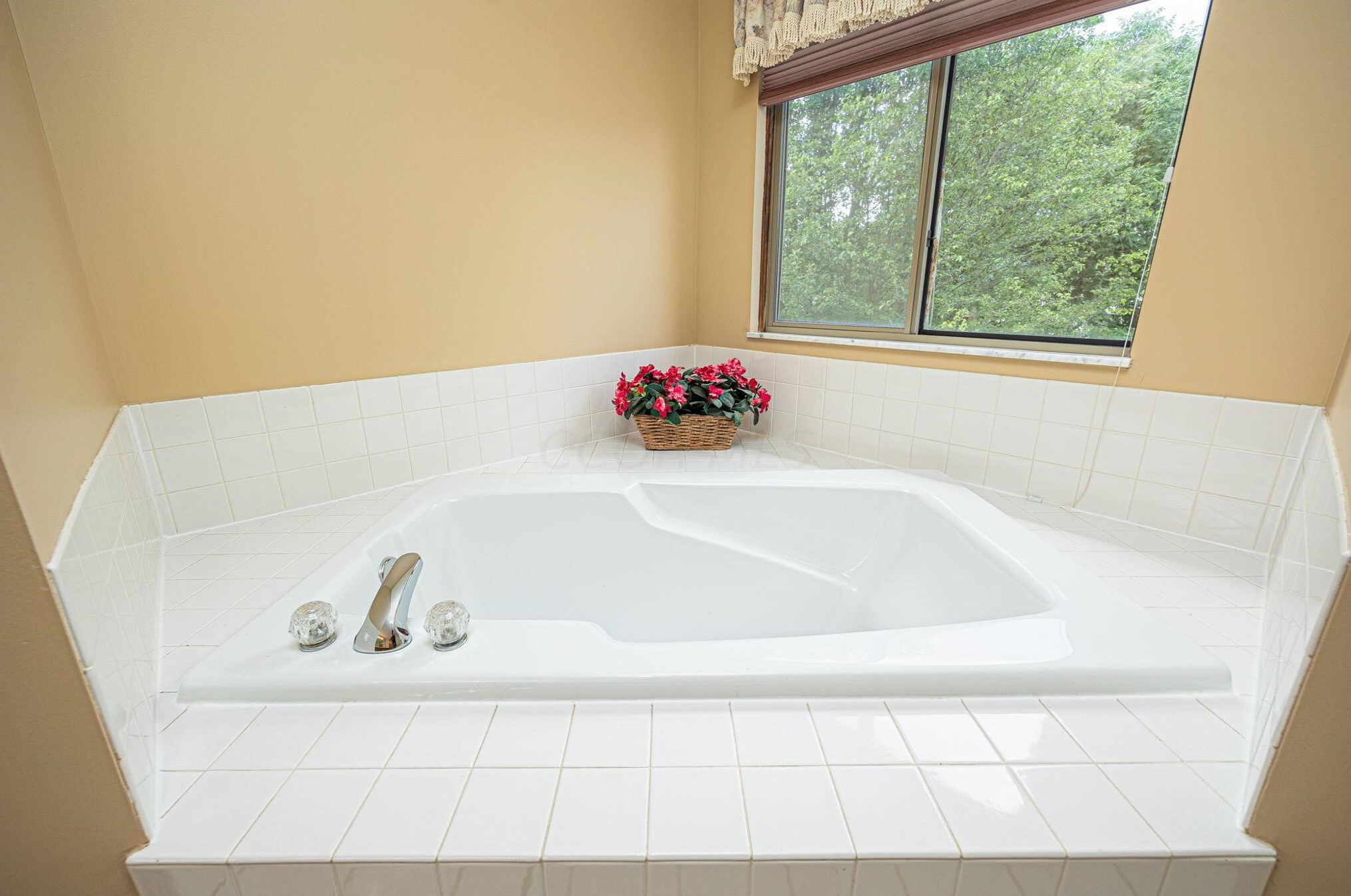 3251 Tollcross Dr, Hilliard OH  43026-7919 exterior