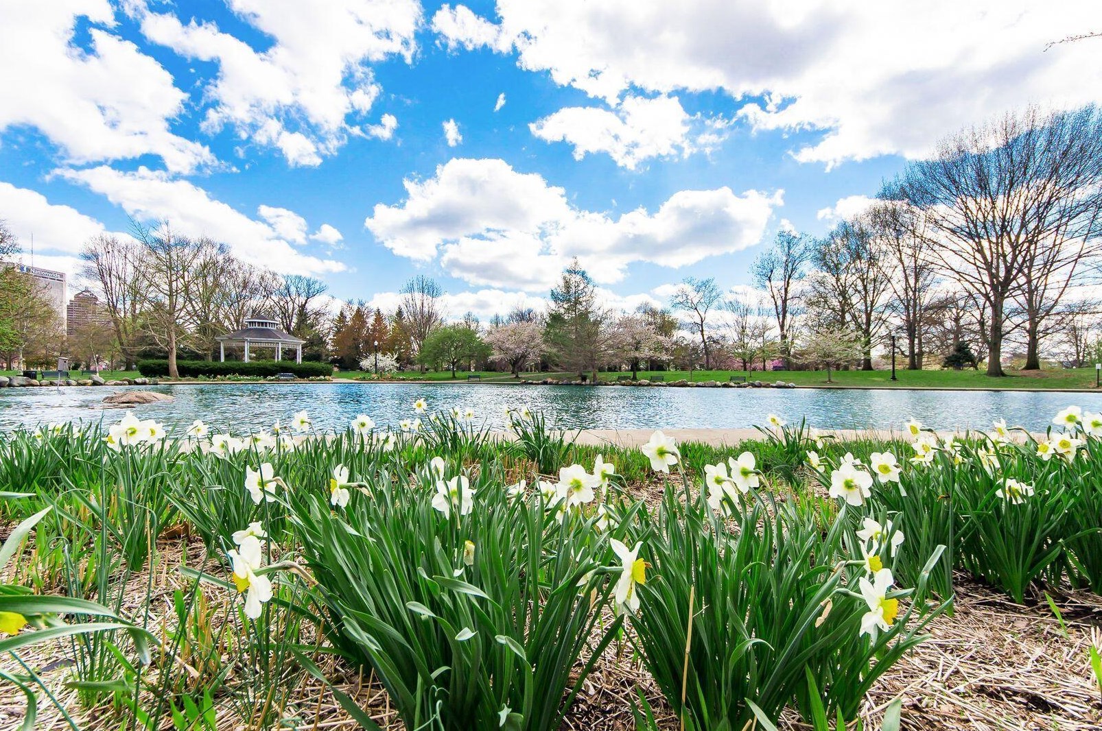 373 Wilber Ave, Columbus OH  43215-1313 exterior