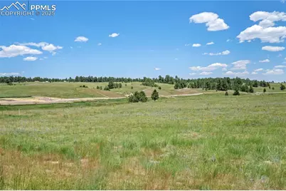 10542 Alamar Way, Colorado Springs, CO 80908 - Photo 3
