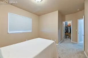 9539 Lizard Rock Trail, Colorado Springs, CO 80924 - Photo 23