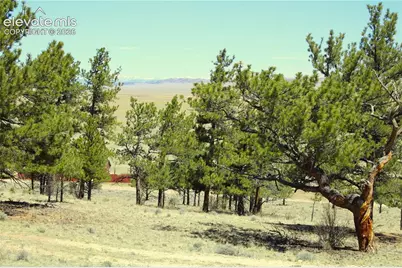 12451 Us-24 Highway, Hartsel, CO 80449 - Photo 5