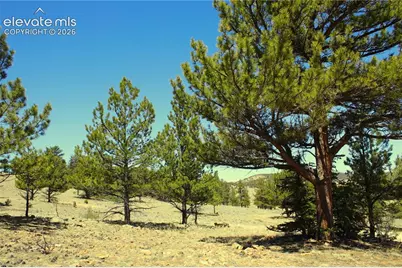 12451 Us-24 Highway, Hartsel, CO 80449 - Photo 3