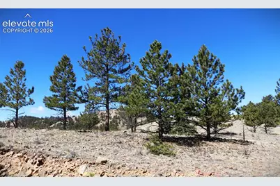 12451 Us-24 Highway, Hartsel, CO 80449 - Photo 11