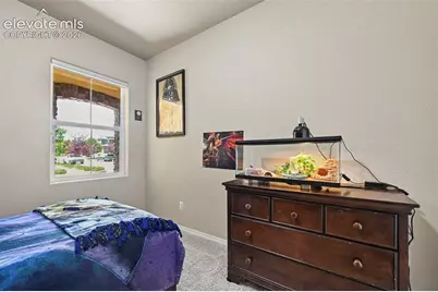 5577 Sunrise Mesa Drive, Colorado Springs, CO 80924 - Photo 29