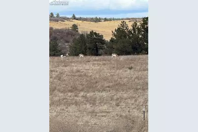 3203 Red Cavern Road, Colorado Springs, CO 80908 - Photo 41