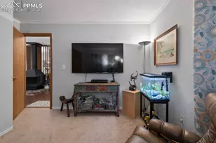 756 Spring Valley Dr, Divide, CO 80814 - Photo 19