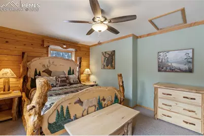 919 Matterhorn Drive, Florissant, CO 80816 - Photo 17