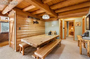 919 Matterhorn Dr, Florissant, CO 80816 - Photo 15