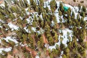 919 Matterhorn Dr, Florissant, CO 80816 - Photo 49