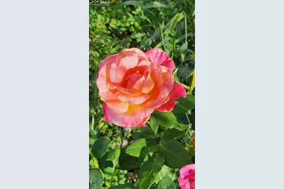 6815 Quarter Circle Road, Colorado Springs, CO 80922 - Photo 31