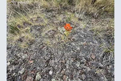 682 Nancy Ann Arroyo, Guffey, CO 80820 - Photo 15